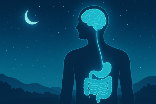 Illustration of gut-brain connection highlighting how digestive health impacts deep sleep.