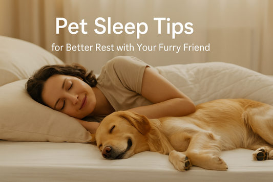 A cozy dog sleeping peacefully beside a woman on a neatly made bed